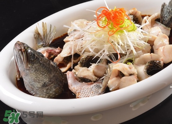 黑魚(yú)怎么殺不滑？黑魚(yú)為什么又被叫做財(cái)魚(yú)