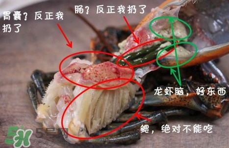 波士頓龍蝦頭能吃嗎？波士頓龍蝦哪里不能吃