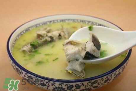 黑魚(yú)湯下奶嗎？黑魚(yú)湯是下奶還是回奶