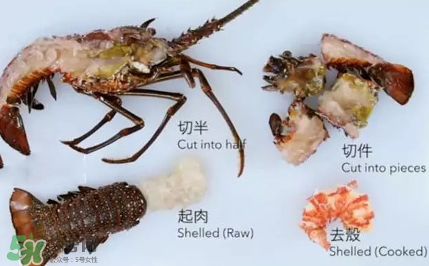 波士頓龍蝦有多大？波士頓龍蝦怎樣去殼