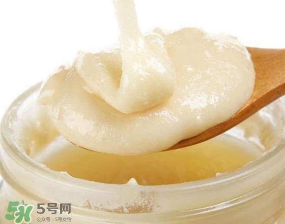 椴樹蜜多少錢一斤？椴樹蜜的功效與作用