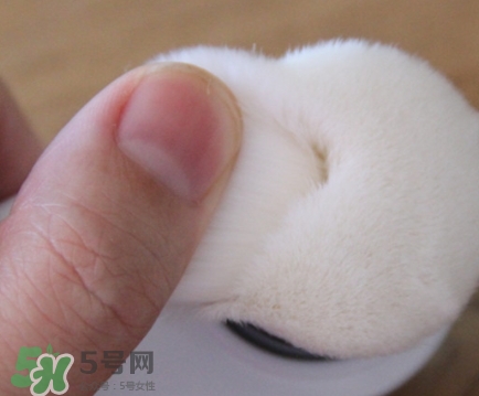 neogen妮珍面膜怎么樣？冷門性價比高的面膜