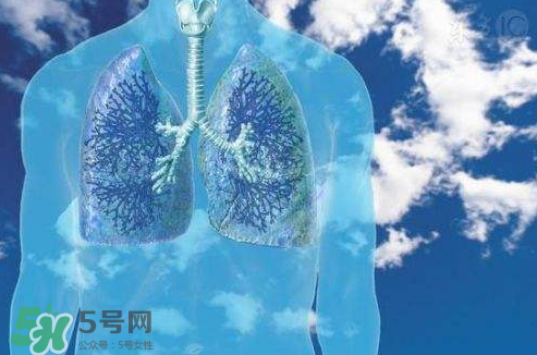 秋季如何護肺？秋季護肺小妙招