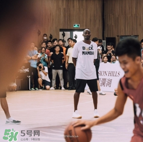 nike kobe ad mid baseline什么時候發(fā)售_多少錢？