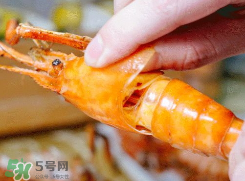 大頭蝦怎么做好吃？大頭蝦怎么處理？