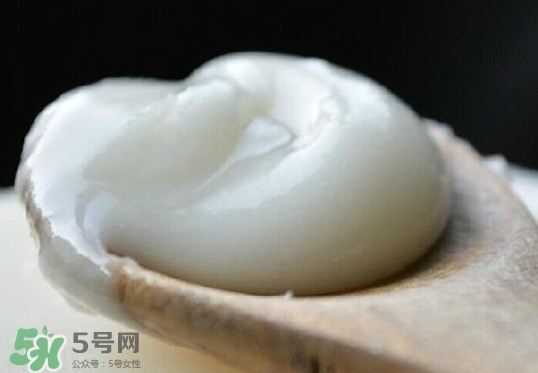 椴樹蜜可以泡檸檬嗎？椴樹蜜放冰箱冷藏好還是冷凍好