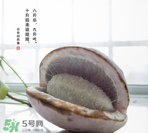 八月瓜可以泡酒嗎？八月瓜可以治乙肝嗎
