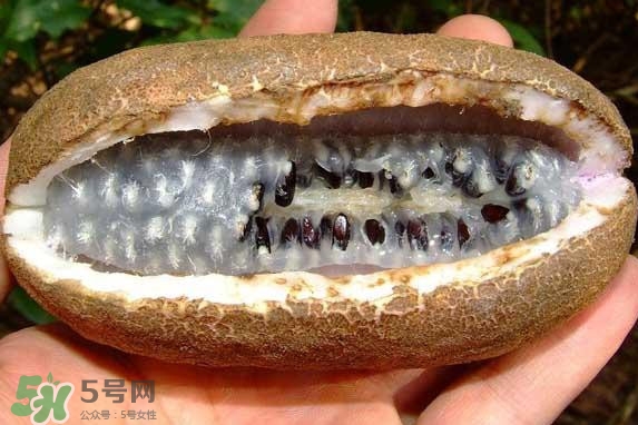 八月瓜能吃嗎？八月瓜到底有什么價(jià)值？