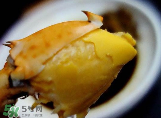 黃油蟹是什么蟹？黃油蟹多少錢一只