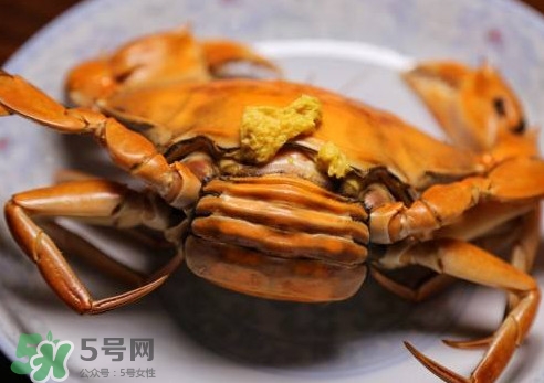 黃油蟹的選蟹標(biāo)準(zhǔn)是什么？黃油蟹的等級(jí)分類(lèi)