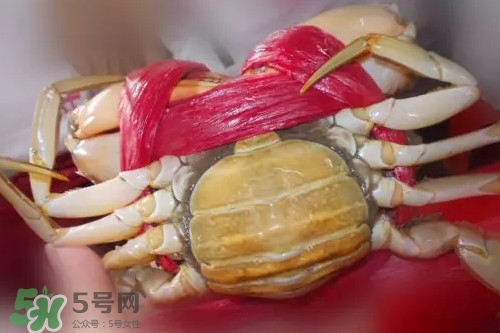 黃油蟹是海蟹嗎？黃油蟹是如何進(jìn)化的