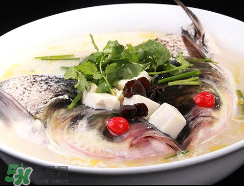 鰱魚頭湯孕婦可以吃嗎？鰱魚頭湯的功效與作用