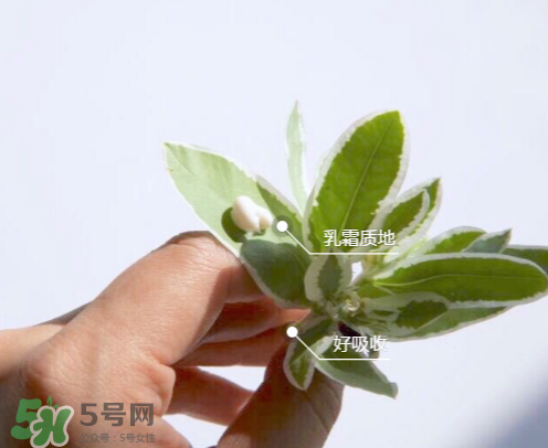 城野醫(yī)生377有副作用嗎？城野醫(yī)生377用了臉癢是什么原因？
