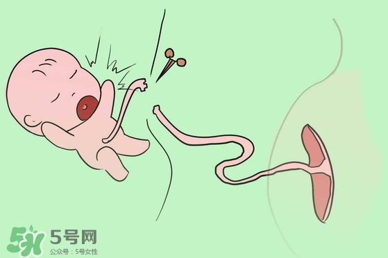 寶寶臍帶什么時候脫落？寶寶臍帶脫落后怎么護理？