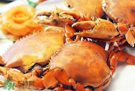 黃油蟹是什么蟹？黃油蟹多少錢一只