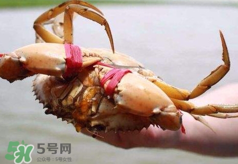 黃油蟹的選蟹標(biāo)準(zhǔn)是什么？黃油蟹的等級(jí)分類(lèi)