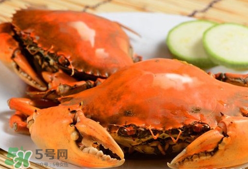 黃油蟹的選蟹標(biāo)準(zhǔn)是什么？黃油蟹的等級(jí)分類(lèi)