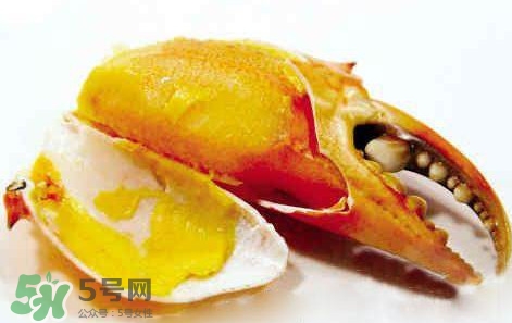 黃油蟹怎么保存？黃油蟹的營(yíng)養(yǎng)價(jià)值