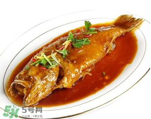 鱸魚可以紅燒嗎？鱸魚清蒸還是紅燒好吃？
