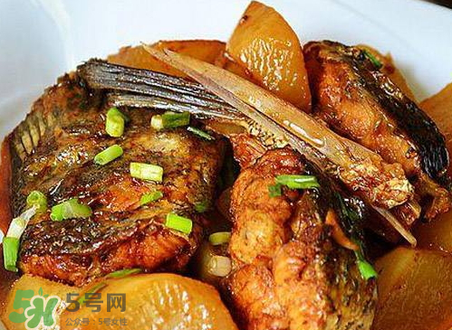 鱸魚可以紅燒嗎？鱸魚清蒸還是紅燒好吃？