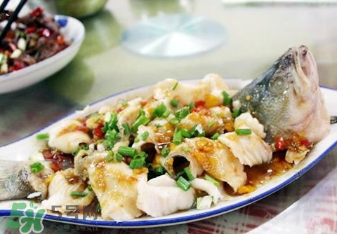 鱸魚為什么沒有刺？鱸魚為什么刺少？
