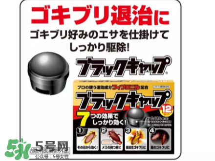 日本蟑螂藥好用嗎？日本蟑螂藥效果評測