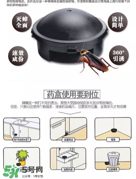 日本蟑螂藥好用嗎？日本蟑螂藥效果評測