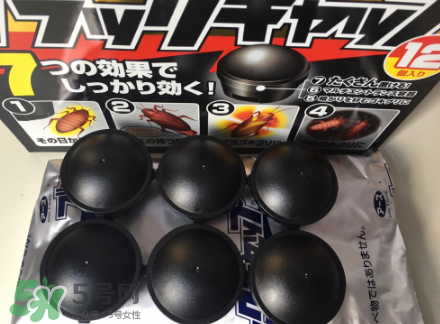 日本蟑螂藥哪里買得到？