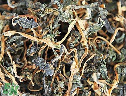 梅干菜是哪里的特產(chǎn)？梅干菜是發(fā)物嗎