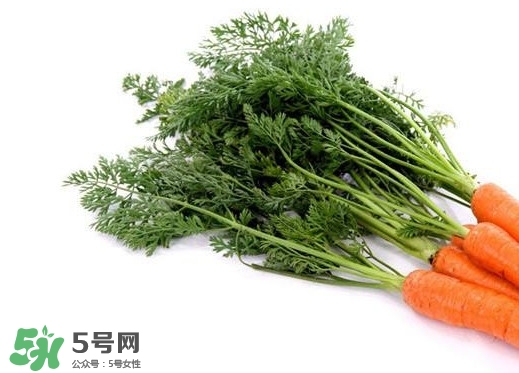 蘿卜纓能吃嗎？蘿卜纓怎么做好吃