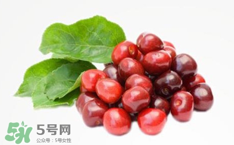 蔓越莓什么時候成熟？蔓越莓什么時候吃最好