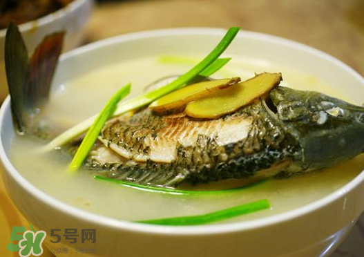 鯉魚湯怎么做好吃？鯉魚湯里面可以放什么？