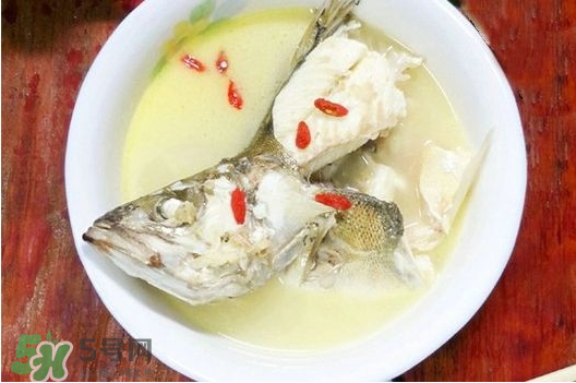 鯉魚湯怎么做好吃？鯉魚湯里面可以放什么？