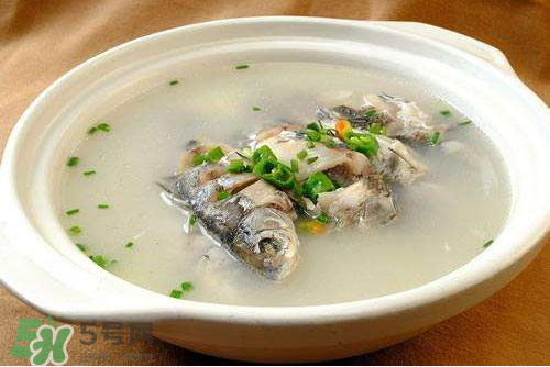 鯽魚湯下奶嗎？鯽魚湯的功效與作用