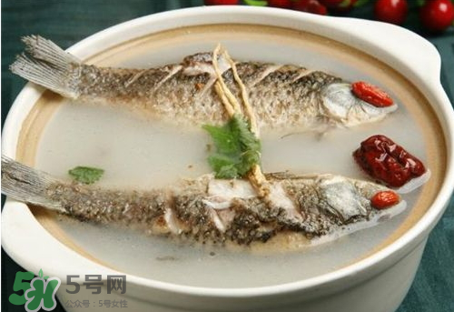 鯽魚湯下奶嗎？鯽魚湯的功效與作用