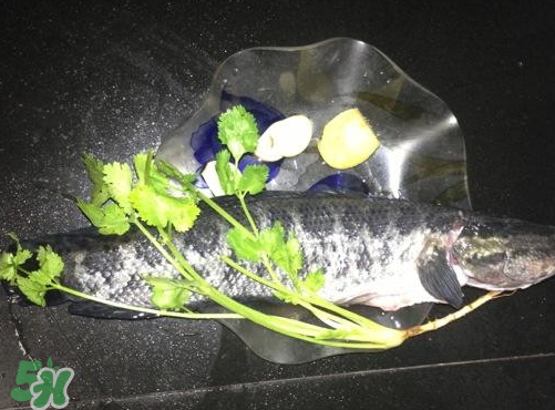 黑魚湯對傷口有好處嗎？黑魚湯的做法術(shù)后恢復