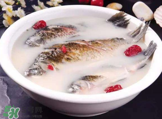 鯽魚湯里可以放什么菜最好？鯽魚燉湯放什么菜？