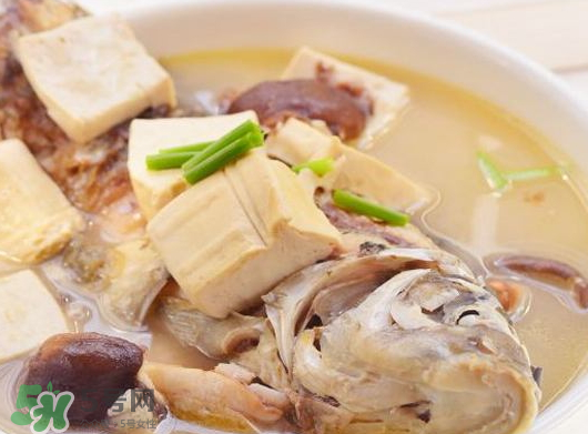 鯽魚湯可以放香菇嗎？香菇鯽魚湯的做法