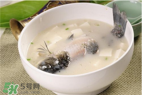 喝鯽魚湯會(huì)胖嗎？鯽魚湯可以經(jīng)常喝嗎？
