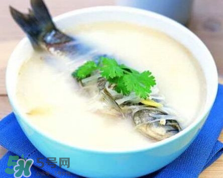 鯽魚湯可以放牛奶嗎？牛奶鯽魚湯的做法
