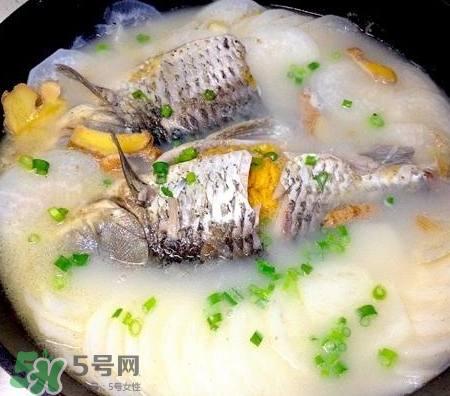 鯽魚湯可以放牛奶嗎？牛奶鯽魚湯的做法