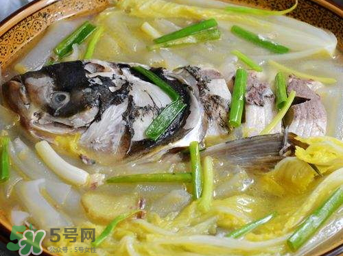 鰱魚湯怎么熬湯？鰱魚湯的功效與作用