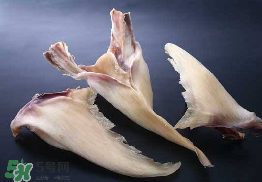 干魚翅怎么保存？魚翅可以放多久？