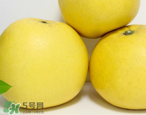 蜜柚是哪個(gè)季節(jié)的水果？蜜柚和沙田柚的區(qū)別是什么？