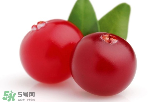 蔓越莓是藍莓嗎？蔓越莓是哪里產(chǎn)的