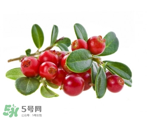 蔓越莓在中國有嗎？蔓越莓怎么辨別真假