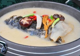 鰱魚湯怎么熬湯？鰱魚湯的功效與作用