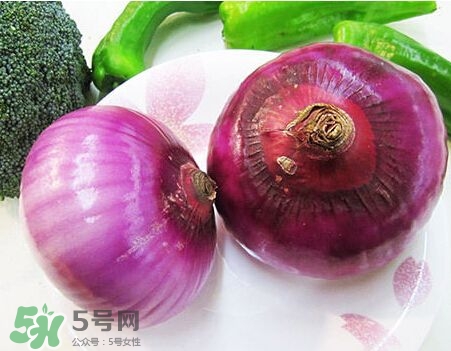 洋蔥狗狗能吃嗎？狗狗吃了洋蔥怎么辦？