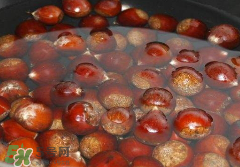 板栗用冷水還是熱水煮？煮板栗用冷水還是熱水？
