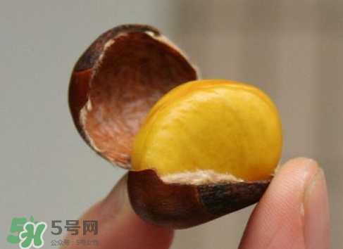板栗用冷水還是熱水煮？煮板栗用冷水還是熱水？